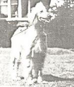 Thumbnail of Kala's Karicha Of Ku