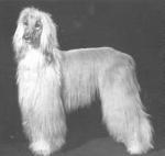 Thumbnail of Kandar Of Riverside