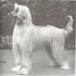 Thumbnail of Karach Of Khanhasset