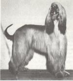 Thumbnail of Karan Of Khanhasset