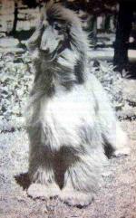 Thumbnail of Kassans Johann Sebastian