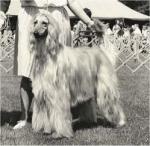 Thumbnail of Akaba's Kobalt Kommander