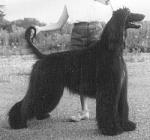 Thumbnail of Khabiri Of Grandeur