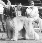 Thumbnail of Kyros von Katwiga