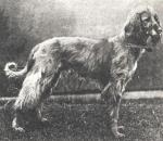 Thumbnail of Buckmal