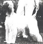 Thumbnail of Tajmir's Desert Dream