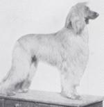 Thumbnail of Taj Akbar Of Chaman