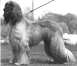 Thumbnail of Ophir von Katwiga