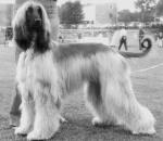 Thumbnail of Sushita von Katwiga