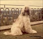 Thumbnail of Swetly von der Irminsul