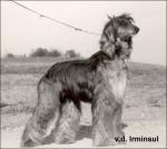 Thumbnail of El-Nick von der Irminsul