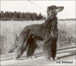 Thumbnail of Sputnik von der Irminsul