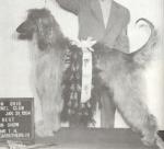 Thumbnail of Majara Mihrab