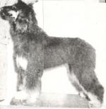 Thumbnail of Majara Mihri