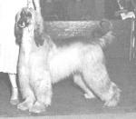 Thumbnail of Majara Mirza