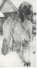 Thumbnail of Majara Mustapha