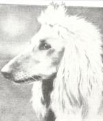 Thumbnail of Marika Of Baberbagh