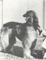 Thumbnail of Nabob van de Oranje Manege