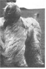 Thumbnail of Kasr El Sayd Of Albaney