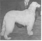 Thumbnail of Tahida Of Arthea