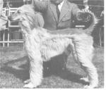 Thumbnail of Jisnah Of Arken