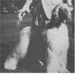 Thumbnail of Bacha Khiva Of Kubera