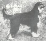 Thumbnail of Kalam Khan Of Kuranda