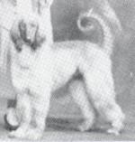 Thumbnail of Raj (UK)