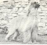 Thumbnail of Sasha Of Scheherezade (USA)(1964)