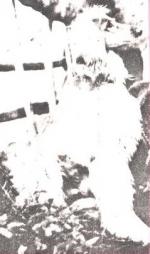 Thumbnail of Siahghavih Of Pushtikuh