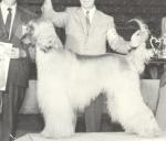 Thumbnail of Shahmir's Sampson