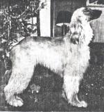 Thumbnail of Shelgrove Orissa