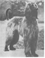 Thumbnail of Obba Of Cyann