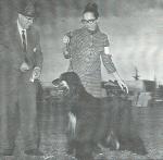 Thumbnail of Stormhill Twilight Contessa