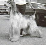 Thumbnail of Hair-Um's Midnight Masquerade