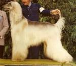 Thumbnail of Hair-Um's Rhapsody In Blue