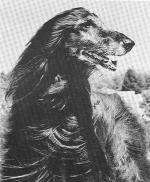 Thumbnail of Javelin Of Camri