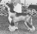 Thumbnail of Esfahan Apache Tear