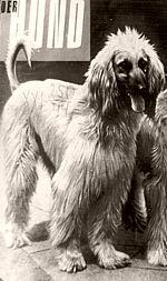 Thumbnail of Kamar von der Irminsul