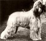 Thumbnail of Waliwog Of Carloway