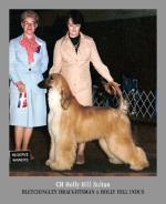 Thumbnail of Holly Hill Sultan