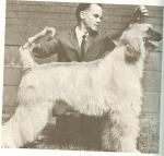 Thumbnail of Belden Bali-Hi