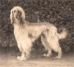 Thumbnail of Agha Lala Of Geufron