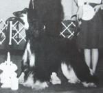 Thumbnail of Jorogz' Sweet-Heart