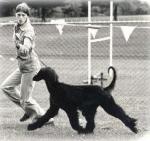 Thumbnail of Kassans Aja Kaliphna