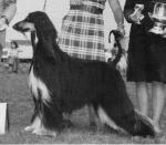 Thumbnail of Jamica's Rani Fafnir