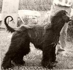 Thumbnail of el Kaira's P'smoke Dream