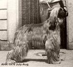 Thumbnail of el Kaira's Gilosi