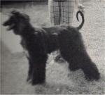 Thumbnail of Esfahan Ironspike