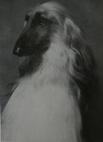 Thumbnail of Kassan's The Red Baron